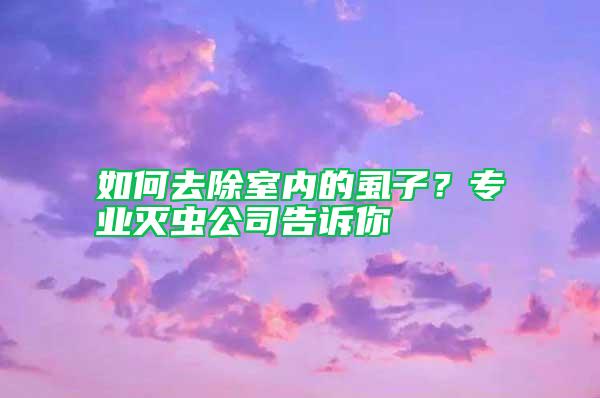 如何去除室內(nèi)的虱子？專業(yè)滅蟲公司告訴你