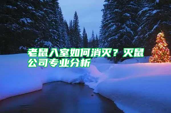 老鼠入室如何消滅？滅鼠公司專業(yè)分析