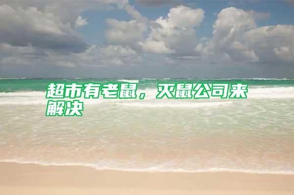 超市有老鼠，滅鼠公司來解決