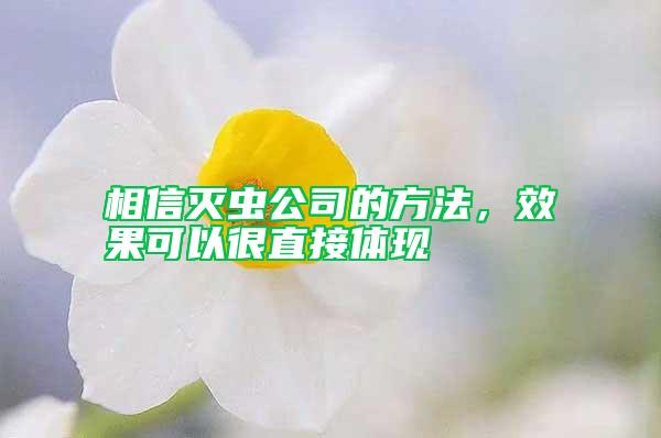 相信滅蟲(chóng)公司的方法，效果可以很直接體現(xiàn)