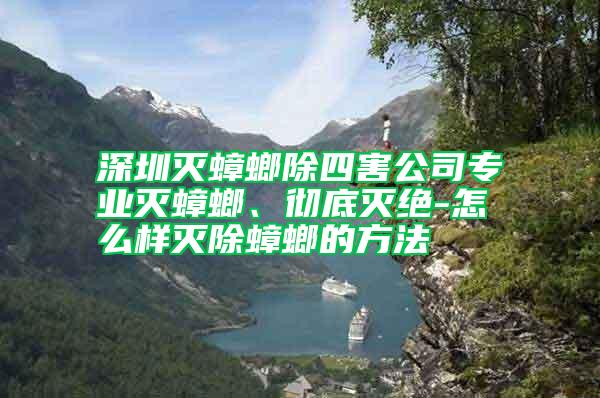 深圳滅蟑螂除四害公司專業(yè)滅蟑螂、徹底滅絕-怎么樣滅除蟑螂的方法