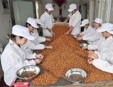 四害消殺：食品、加工行業(yè)